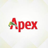 apex.jpeg
